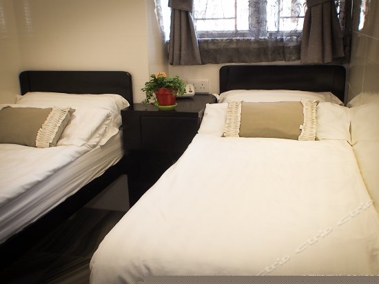 标准双人房