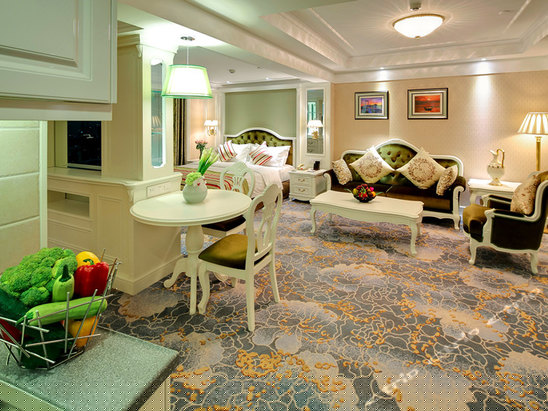 一室一厅家居房