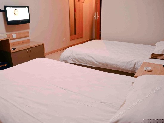 绿色环保标准间