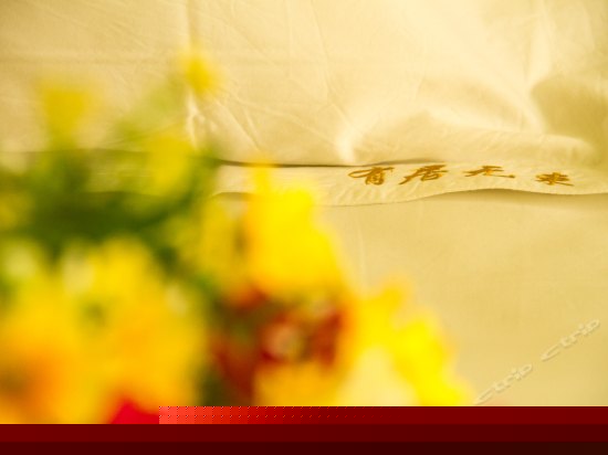 阳光蜜月大床房