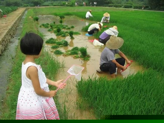 儿童乐园/儿童俱乐部