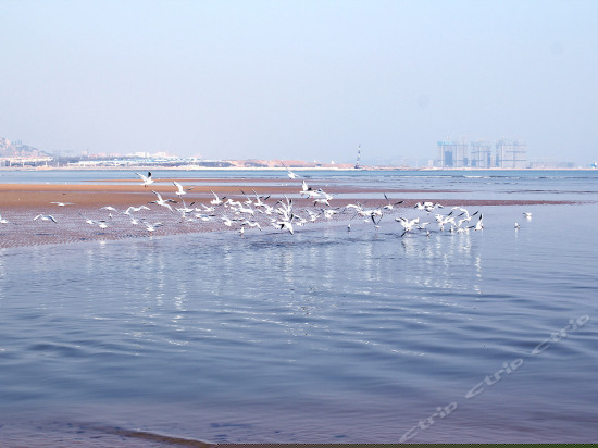 全海景双卧商务套房