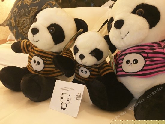 Ryner温馨熊猫房