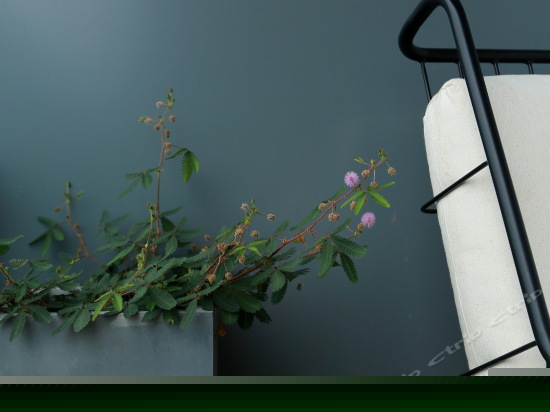 最美洱海阳台海景双床房