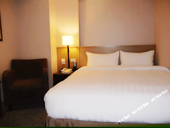 标准客房 (无窗)