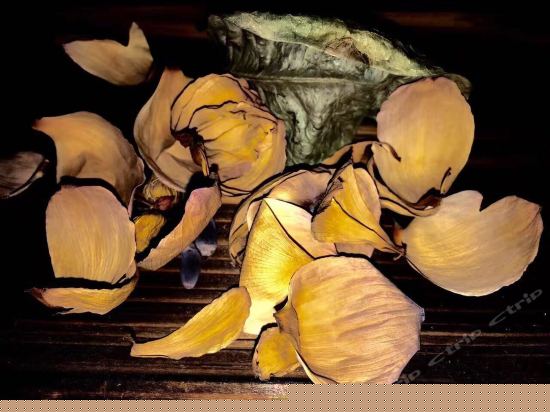 月上梅梢大床房