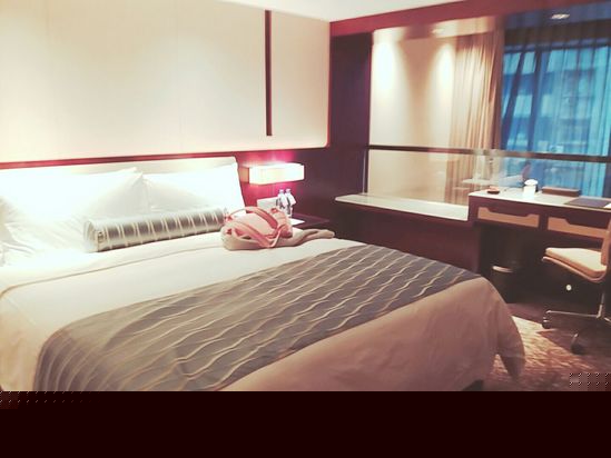 酒店房型