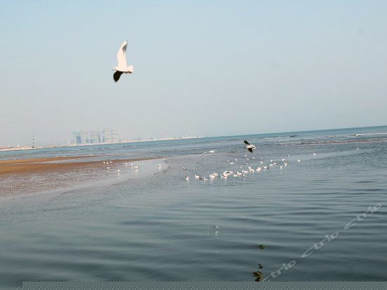 全海景双卧双卫行政套房