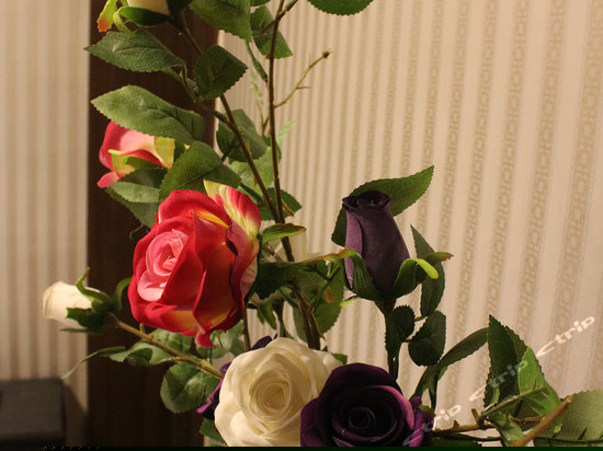 小楼听雨贵宾套房