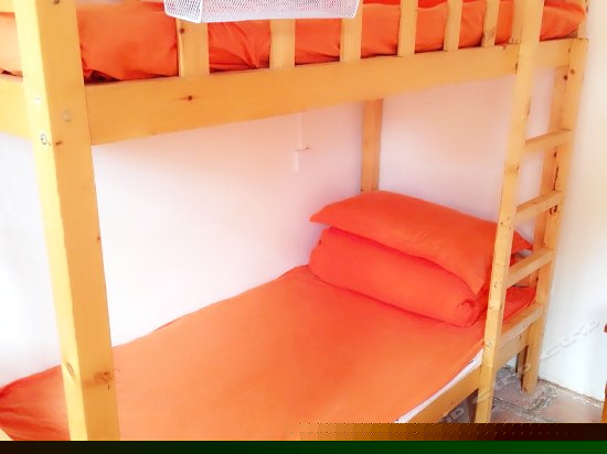 四人上下铺（床位房）