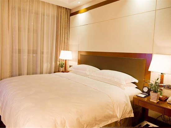 慕尼黑高级大床房