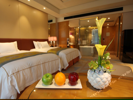 高级双床房