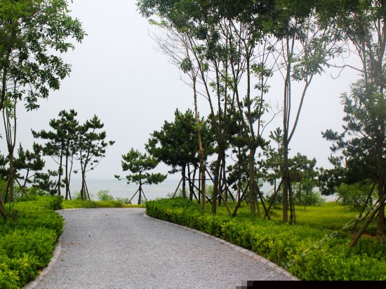 豪华市景大床房