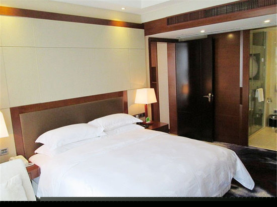 柏林高级家庭套房