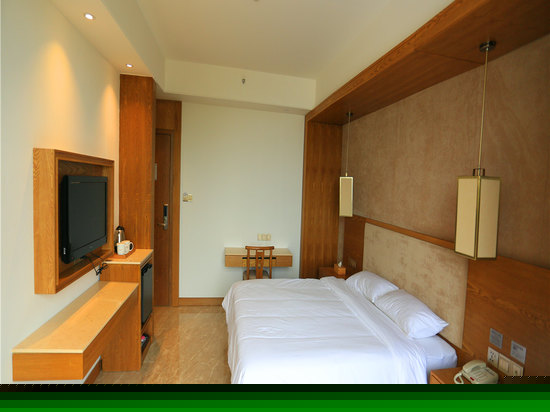 高级园景大床房