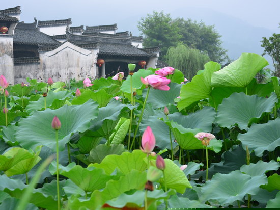 周边图片