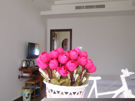 VIP豪华阳台海景房