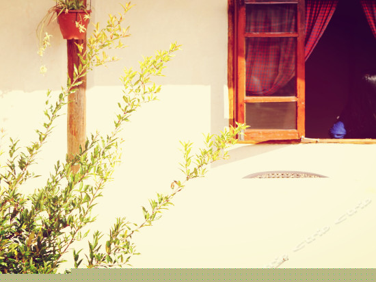 百合（观景情侣古典套房）