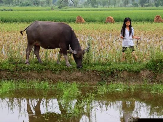 儿童乐园/儿童俱乐部