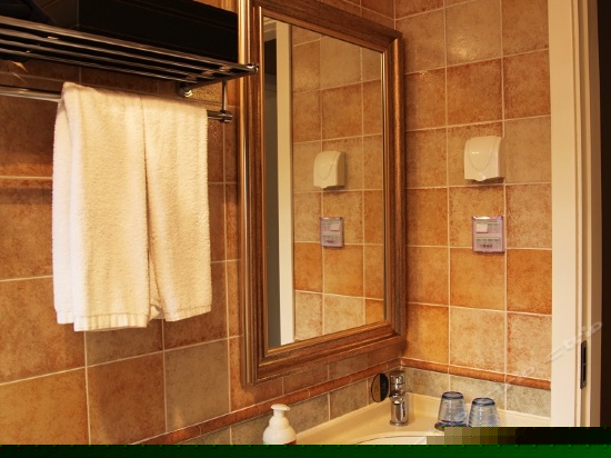 豪华双卧雅致别墅