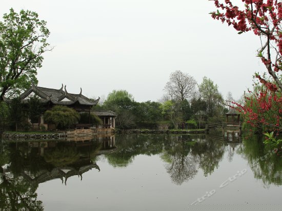 周边图片