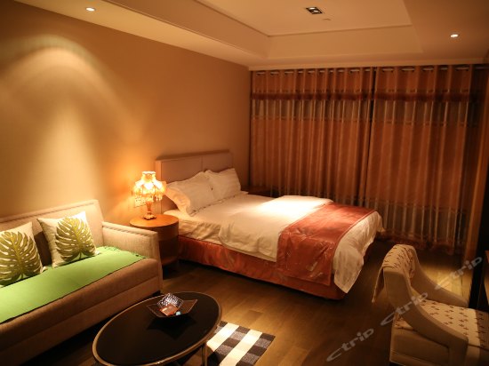 豪华城市景观房