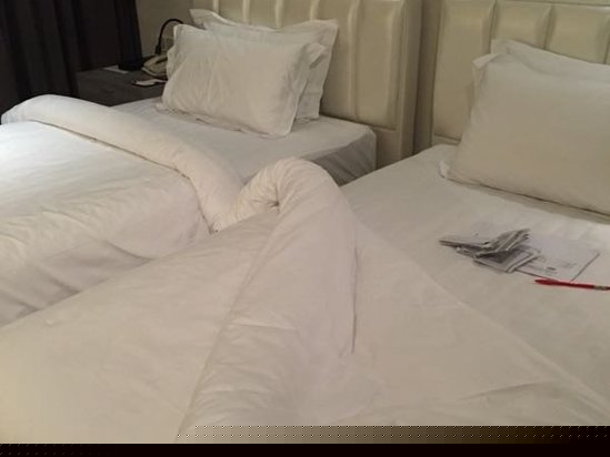 酒店房型