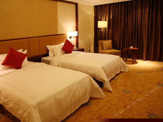 高级双床房