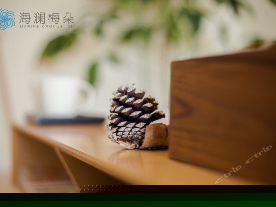 亲海美景大床房