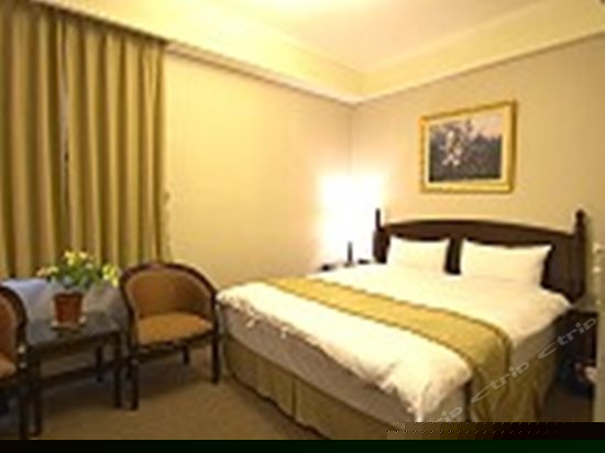 豪华商务双人房