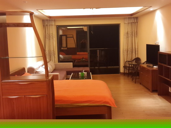 无敌海景一房一厅