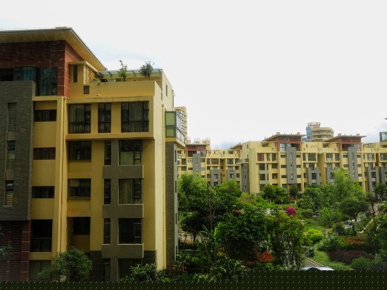 典雅园景双床房