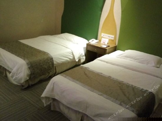 经济双床房（无窗）