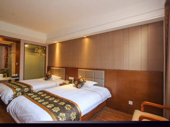 高级双床房