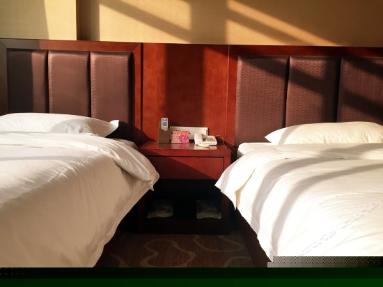 标准双人间（无窗）