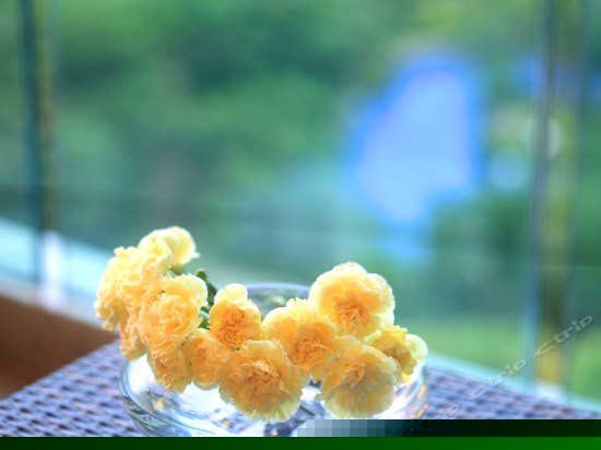 流云轩海景双床套房一室一厅