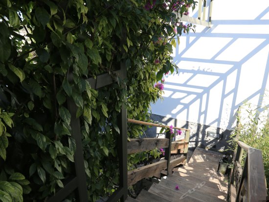 私密花园阳光双床房-椿