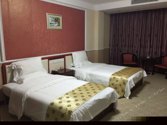 豪华双床房