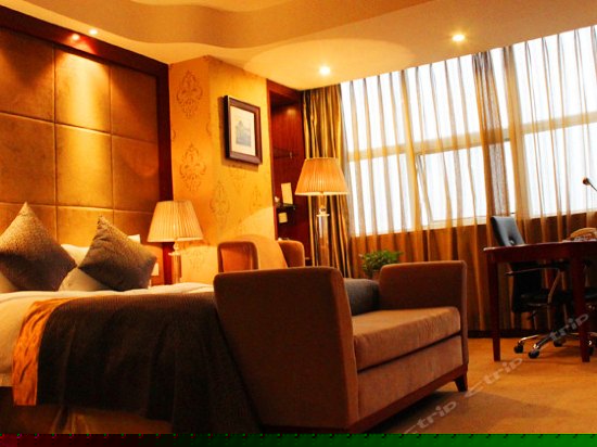 豪华单人间