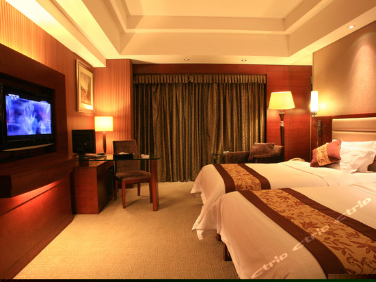 豪华行政双人间