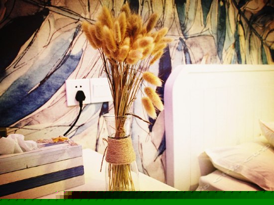 西栅南门红尘蝶恋