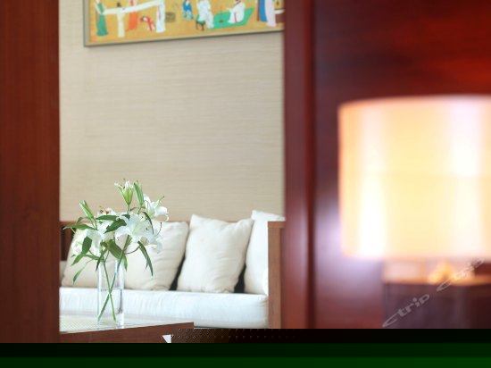 长天轩海景套房一室一厅