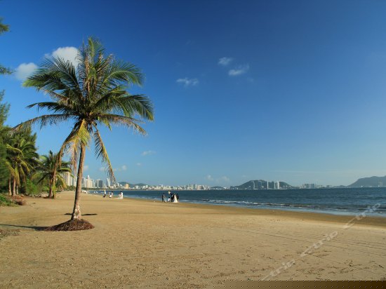 豪华园景大床房