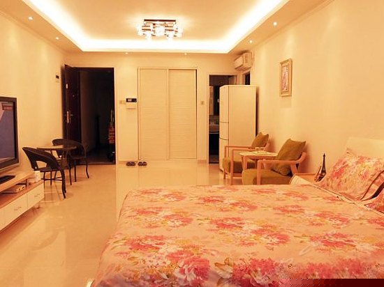 经典豪装一房套房B