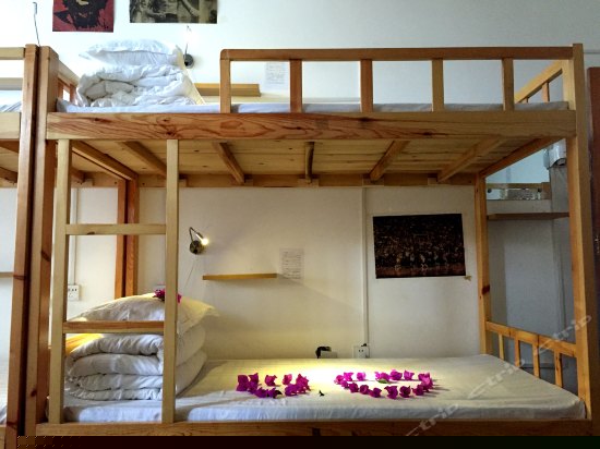 豪华女生8人间(床位)