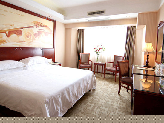 豪华单人房
