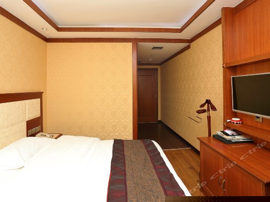 商务单间（无窗）