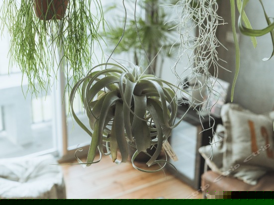 Room02海景跃层双人房