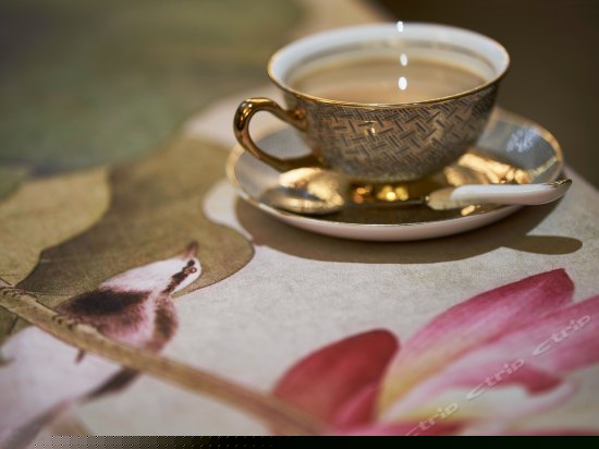 香远益洁双标间