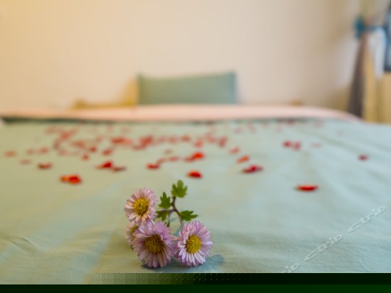 男女混合双人房(床位)